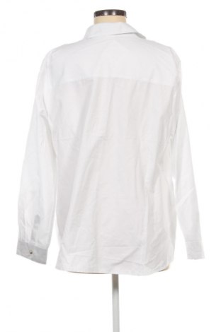Damenbluse Collection, Größe XXL, Farbe Weiß, Preis € 17,99