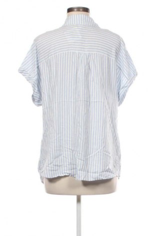 Dámská košile  Collection L, Velikost XL, Barva Vícebarevné, Cena  299,00 Kč
