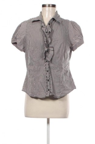Damenbluse Dorothy Perkins, Größe XL, Farbe Mehrfarbig, Preis € 17,39