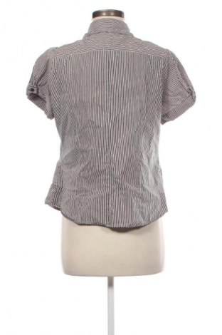 Damenbluse Dorothy Perkins, Größe XL, Farbe Mehrfarbig, Preis € 17,39