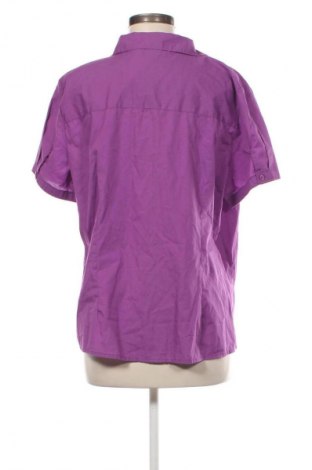 Damenbluse Editions, Größe L, Farbe Lila, Preis € 8,99
