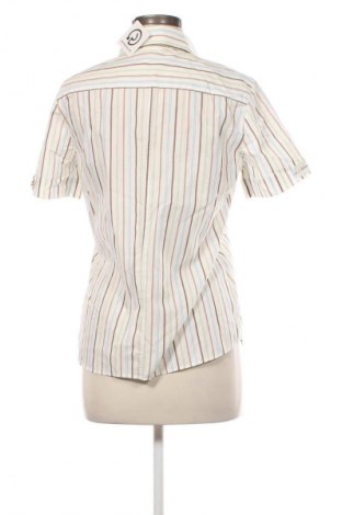 Damenbluse Eterna, Größe M, Farbe Mehrfarbig, Preis € 20,99