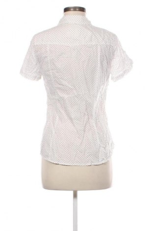 Damenbluse H&M L.O.G.G., Größe M, Farbe Mehrfarbig, Preis € 10,99
