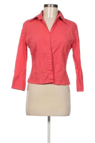 Damenbluse Kookai, Größe M, Farbe Mehrfarbig, Preis € 18,99