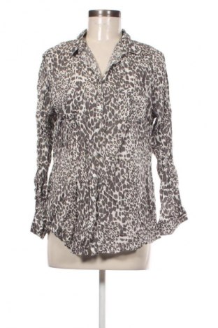 Damenbluse M&Co., Größe XL, Farbe Mehrfarbig, Preis € 12,68