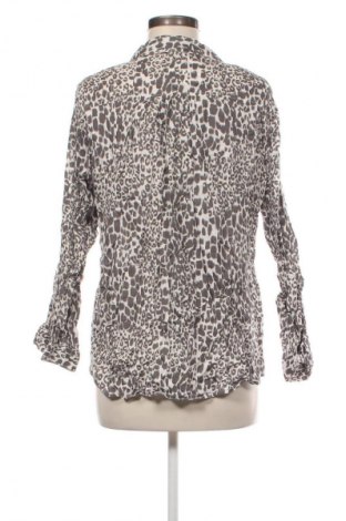 Damenbluse M&Co., Größe XL, Farbe Mehrfarbig, Preis € 12,68