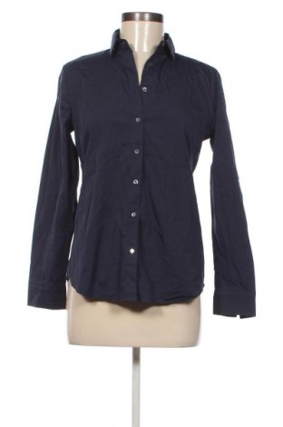 Damenbluse Massimo Dutti, Größe L, Farbe Blau, Preis € 16,99