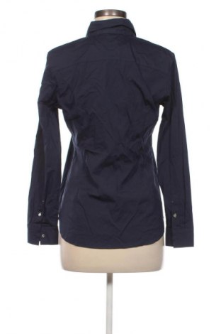 Damenbluse Massimo Dutti, Größe L, Farbe Blau, Preis € 16,99
