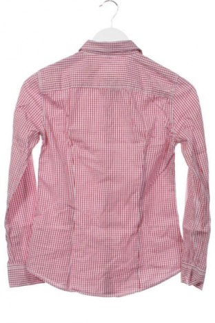 Damenbluse Massimo Dutti, Größe S, Farbe Mehrfarbig, Preis € 17,99