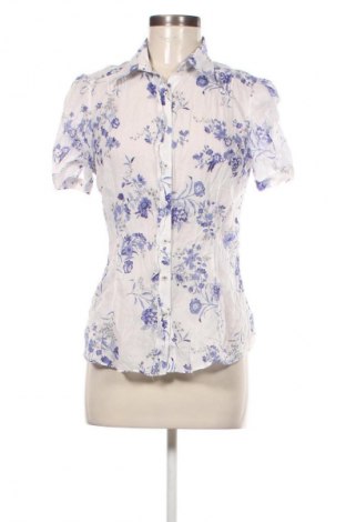 Damenbluse Massimo Dutti, Größe L, Farbe Mehrfarbig, Preis 20,57 €