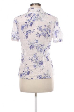 Damenbluse Massimo Dutti, Größe L, Farbe Mehrfarbig, Preis 20,57 €