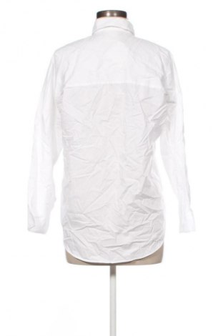 Damenbluse Massimo Dutti, Größe L, Farbe Weiß, Preis € 75,32