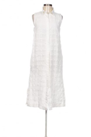Damenbluse Massimo Dutti, Größe M, Farbe Weiß, Preis € 41,99