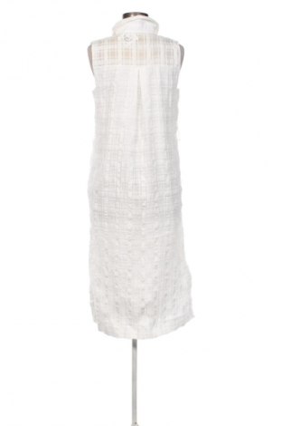 Damenbluse Massimo Dutti, Größe M, Farbe Weiß, Preis € 41,99