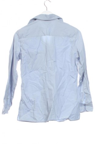 Damenbluse Max Mara, Größe XS, Farbe Blau, Preis € 77,99