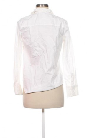 Damenbluse Next Petite, Größe M, Farbe Weiß, Preis € 11,99