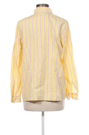 Damenbluse Peter Hahn, Größe L, Farbe Mehrfarbig, Preis € 17,99
