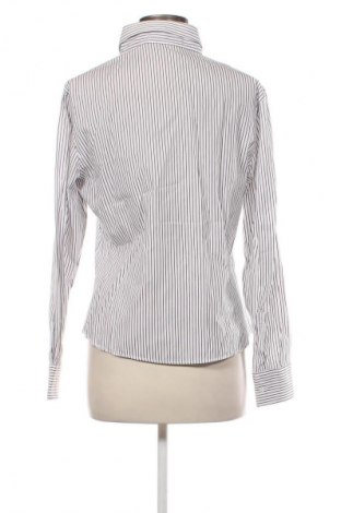 Damenbluse Polo Sport, Größe XL, Farbe Mehrfarbig, Preis € 27,12