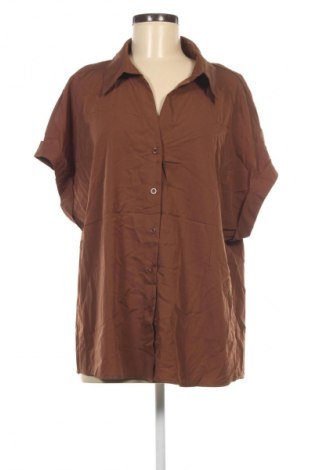 Damenbluse SHEIN, Größe XXL, Farbe Braun, Preis € 12,99