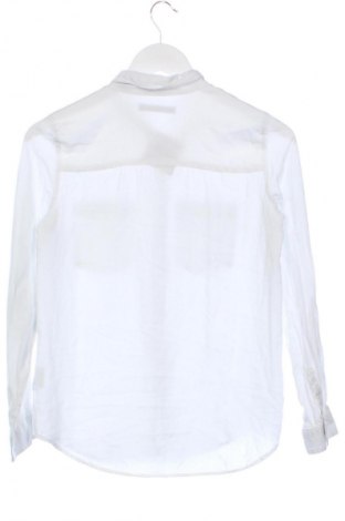 Damenbluse Sinsay, Größe XS, Farbe Weiß, Preis € 7,99
