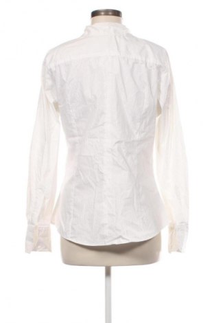Damenbluse TCM, Größe XL, Farbe Mehrfarbig, Preis 12,83 €