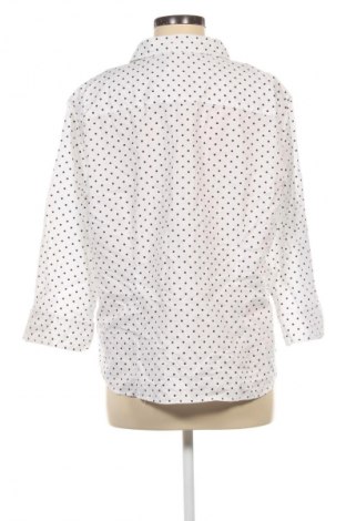 Damenbluse Tabi, Größe XL, Farbe Mehrfarbig, Preis 17,99 €