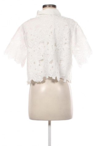 Damenbluse Unbranded, Größe XL, Farbe Weiß, Preis € 18,65