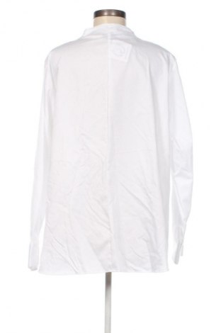 Damenbluse Walbusch, Größe XXL, Farbe Weiß, Preis 37,99 €
