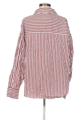 Damenbluse Zara, Größe XXL, Farbe Mehrfarbig, Preis € 8,99