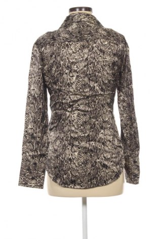 Damenbluse Zara, Größe S, Farbe Mehrfarbig, Preis € 8,99