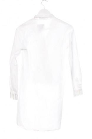 Damenbluse Zara, Größe XS, Farbe Weiß, Preis 18,99 €