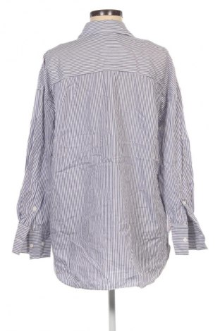 Damenbluse Zara, Größe XL, Farbe Mehrfarbig, Preis € 18,99