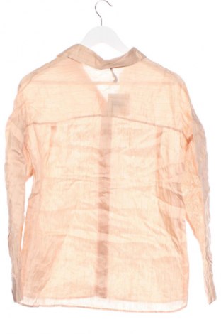 Damenbluse Zara, Größe XS, Farbe Beige, Preis € 8,99