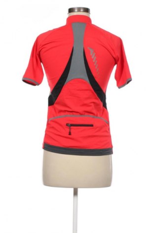 Damen T-Shirt Altura, Größe M, Farbe Mehrfarbig, Preis € 6,99