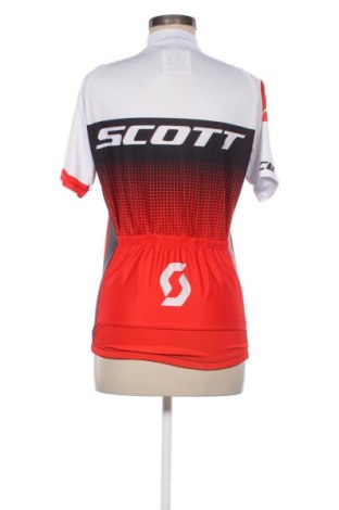 Damen T-Shirt Scott, Größe L, Farbe Mehrfarbig, Preis € 13,99
