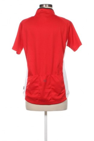 Γυναικείο t-shirt Sugar Mountain, Μέγεθος XL, Χρώμα Πολύχρωμο, Τιμή 8,99 €