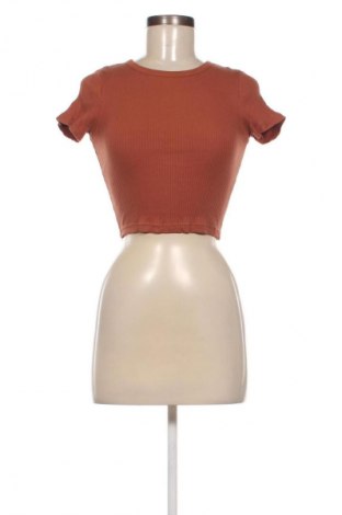 Damen T-Shirt Uniqlo, Größe M, Farbe Braun, Preis € 12,99