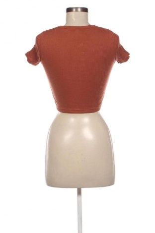 Damen T-Shirt Uniqlo, Größe M, Farbe Braun, Preis € 12,99