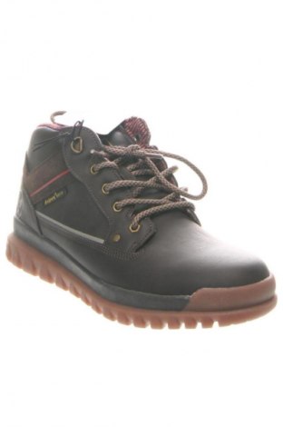 Damen Stiefeletten Avirex, Größe 40, Farbe Braun, Preis € 84,99