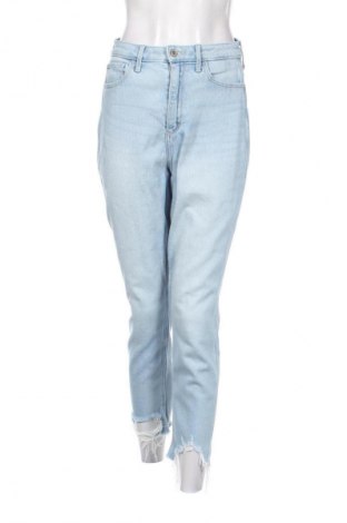 Damen Jeans Hollister, Größe M, Farbe Blau, Preis € 21,00
