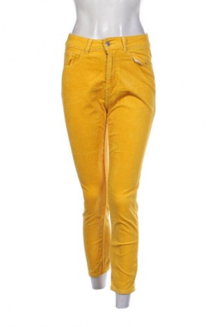 Damen Cordhose Bik Bok, Größe S, Farbe Gelb, Preis € 9,99