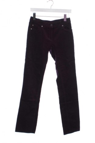 Damen Cordhose Cecilia Classics, Größe S, Farbe Lila, Preis € 9,99