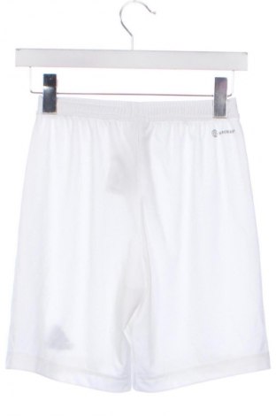 Női rövidnadrág Adidas, Méret XS, Szín Fehér, Ár 9 219 Ft