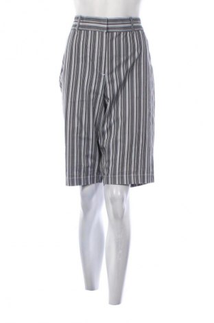 Damen Shorts Briggs New York, Größe L, Farbe Mehrfarbig, Preis € 7,99