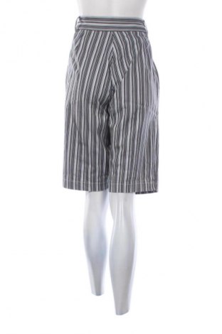 Damen Shorts Briggs New York, Größe L, Farbe Mehrfarbig, Preis € 7,99
