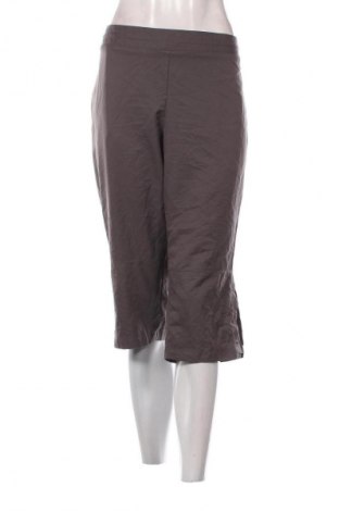 Damen Shorts Champion, Größe L, Farbe Grau, Preis € 6,99