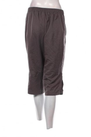 Damen Shorts Champion, Größe L, Farbe Grau, Preis € 6,99