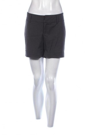 Damen Shorts Colours Of The World, Größe XXL, Farbe Mehrfarbig, Preis 8,99 €