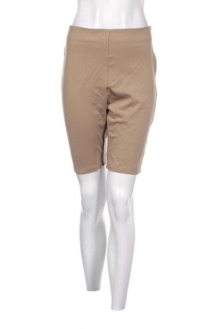 Damen Shorts DAZY, Größe XL, Farbe Braun, Preis € 10,00