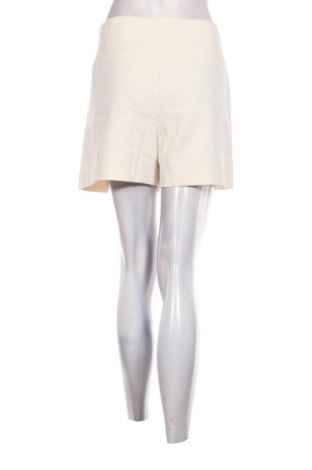 Damen Shorts Mango, Größe XL, Farbe Beige, Preis 13,99 €